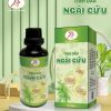 Tinh dầu ngải cứu Thảo Mộc Xanh